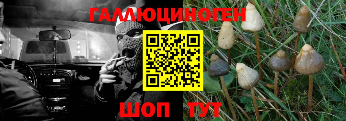 Псилоцибиновые грибы прущие грибы Янаул